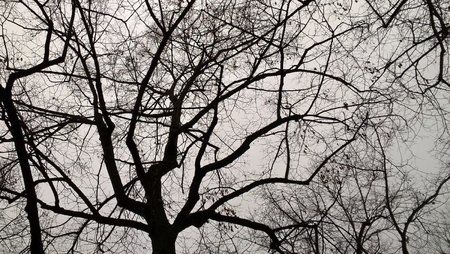 WP_20151127_09_47_11_Rich.jpg