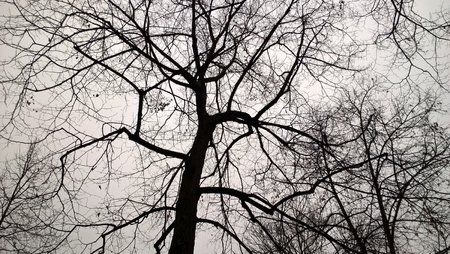 WP_20151127_09_48_53_Rich.jpg
