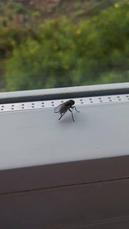 20151128_104339.jpg