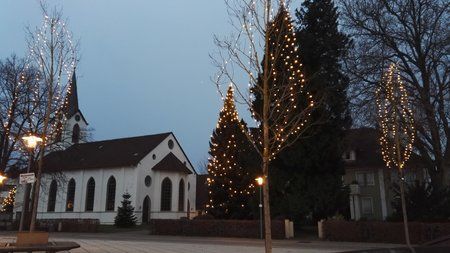 IMG_20151130_074726.jpg