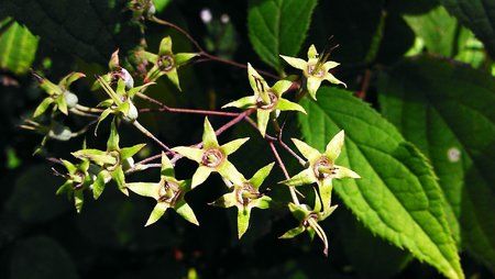 IMAG0233.jpg