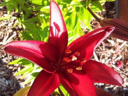 2011-07-01 19.07.03.jpg