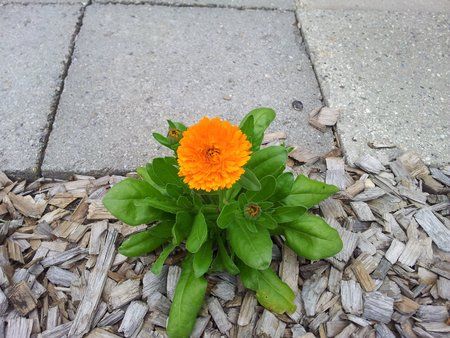 2011-06-25 17.58.44.jpg