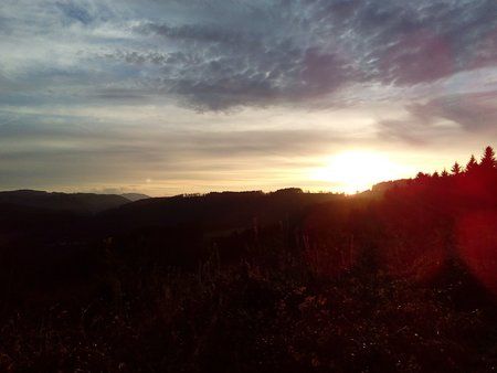 IMG_20151205_085332.jpg