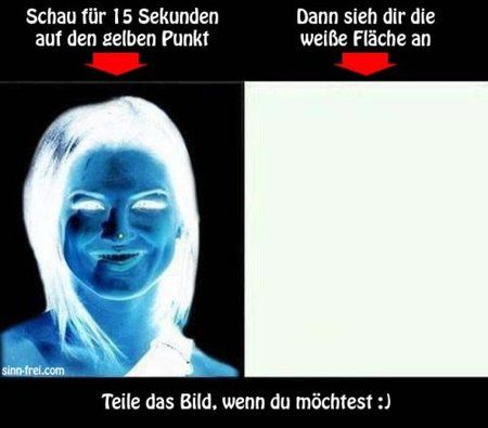 grafik.jpg