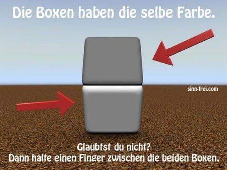 gleiche farbe.jpg