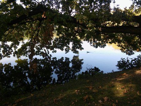 20151003_120056.jpg