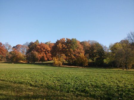 20151031_094657.jpg
