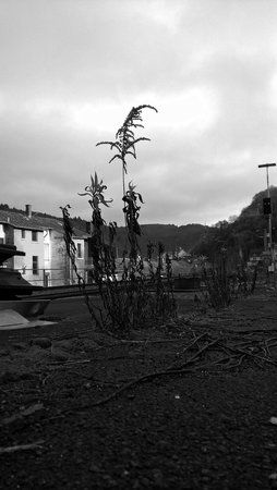 AdobePhotoshopExpress_7215e2fb380742f29100f7094fae90a9.jpg