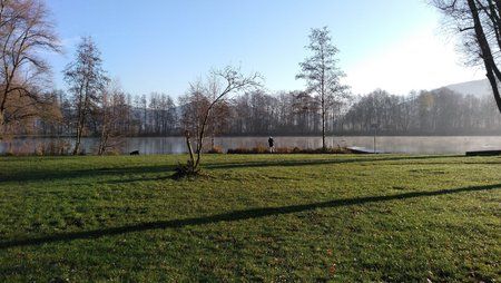 IMG_20151206_093050.jpg