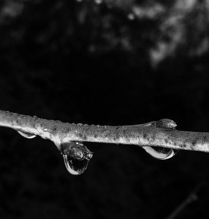 AdobePhotoshopExpress_1527b3e76cfb41308be92415c870d2b4.jpg