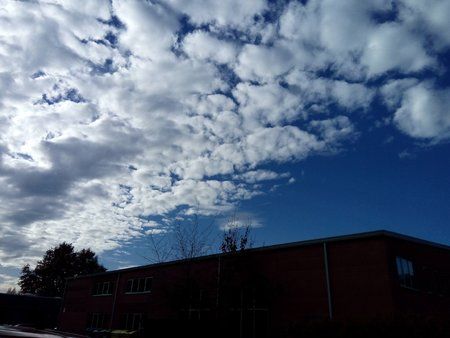 2015-11-04 10.44.23.jpg
