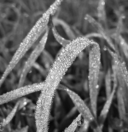 AdobePhotoshopExpress_c6b496073e5940c9aa64da401104fb06.jpg