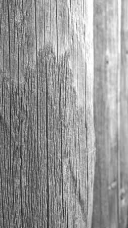 AdobePhotoshopExpress_2a2cefc72029479aadaba655d31aaa21.jpg