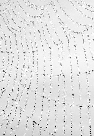 AdobePhotoshopExpress_b4f303e5642147f4930e65c330ae1748.jpg