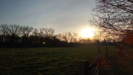 IMG_20151219_151246_HDR.jpg