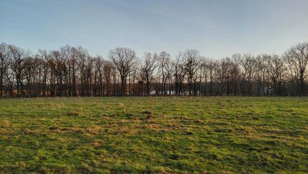 IMG_20151219_151305_HDR.jpg