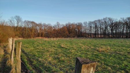 IMG_20151219_151314_HDR.jpg
