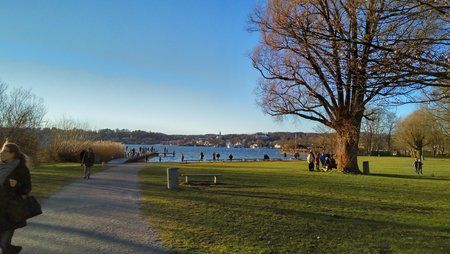 IMG_20151206_150503_HDR.jpg