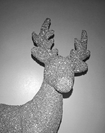 AdobePhotoshopExpress_621e6704994a437c8c57a8c2c56a45b6.jpg