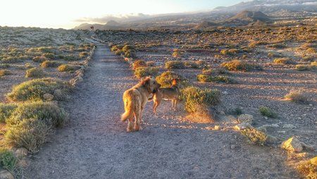 20151228_175259-01.jpeg