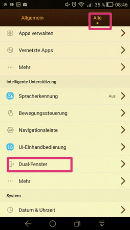 aaaDualfenster.png