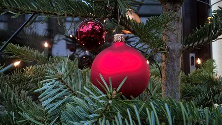 WP_20160101_15_29_08_Pro_LI.jpg
