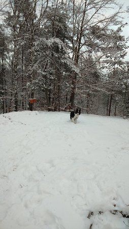 DSC_0144.JPG