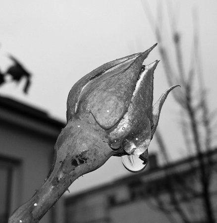 AdobePhotoshopExpress_1afca66b279546d2a447f4a0fe1fcb16.jpg AdobePhotoshopExpress_1afca66b279546d2a447f4a0fe1fcb16.jpg