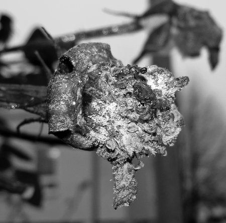 AdobePhotoshopExpress_9a55bc85366d460cbcc791222e1de1f4.jpg AdobePhotoshopExpress_9a55bc85366d460cbcc791222e1de1f4.jpg