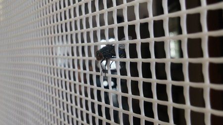 20160104_140537(1).jpg