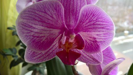 WP_20160105_11_31_49_Pro.jpg