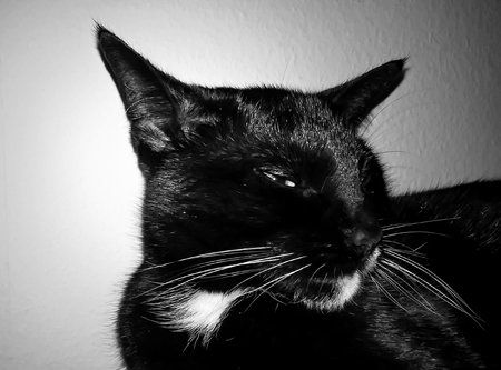 AdobePhotoshopExpress_3c52fd1d3e03440fad298fbb37ca51a6.jpg