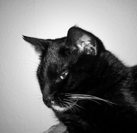 AdobePhotoshopExpress_225ea232956f4f0995346ef1ff85028a.jpg