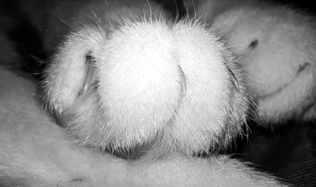 AdobePhotoshopExpress_76bc52a2356741748960ba233f0fede4.jpg