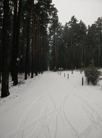 IMG_20160105_131234 (1).jpg