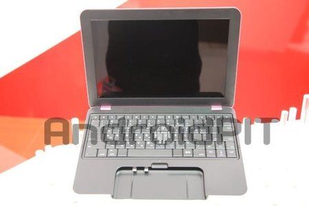 spider_laptop.JPG