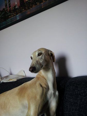 2011-09-04 10.20.29.jpg