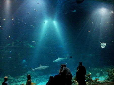 2011-08-28 15.39.33.jpg