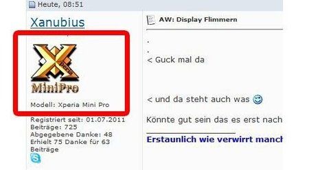 ava.JPG