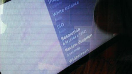 IMAG0499.jpg
