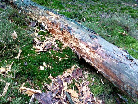 IMG_20160105_085145_1.jpg
