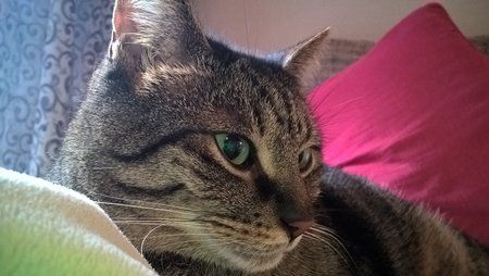 WP_20160107_08_40_04_Pro.jpg