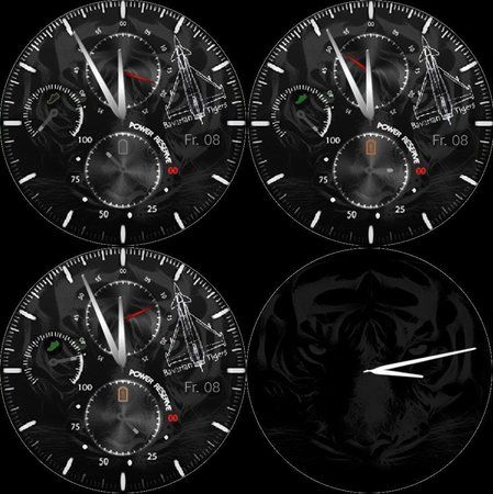 Bavarian Tigers Watchface GearS2.jpg