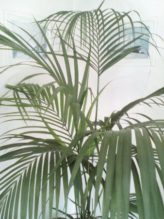 IMG_20160108_103417.jpg