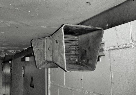 DSC_0825-01.jpeg