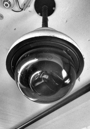 DSC_0823-01.jpeg