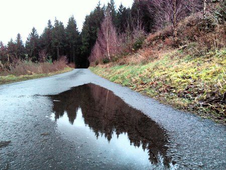 My_HDR_Camera_20160113_083618.jpg