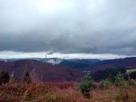 IMG_20160113_083141_1.jpg