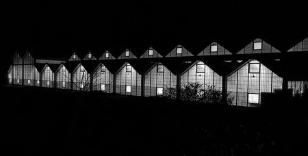 AdobePhotoshopExpress_f25435964c584447a32a60bcef031a3e.jpg